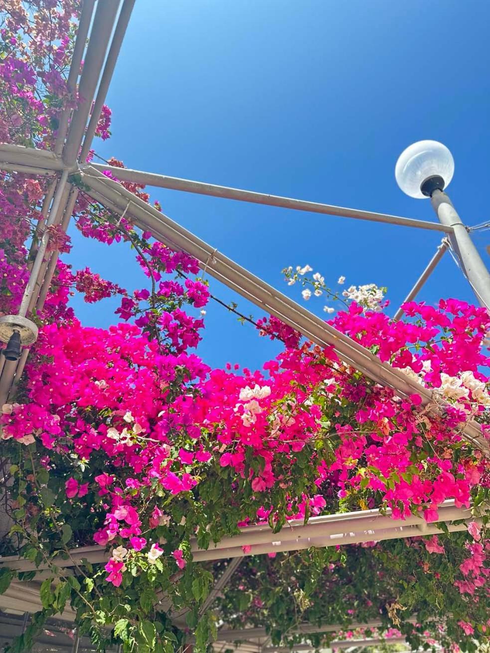 Ambrosia Hotel Beach & Spa Битез Екстериор снимка